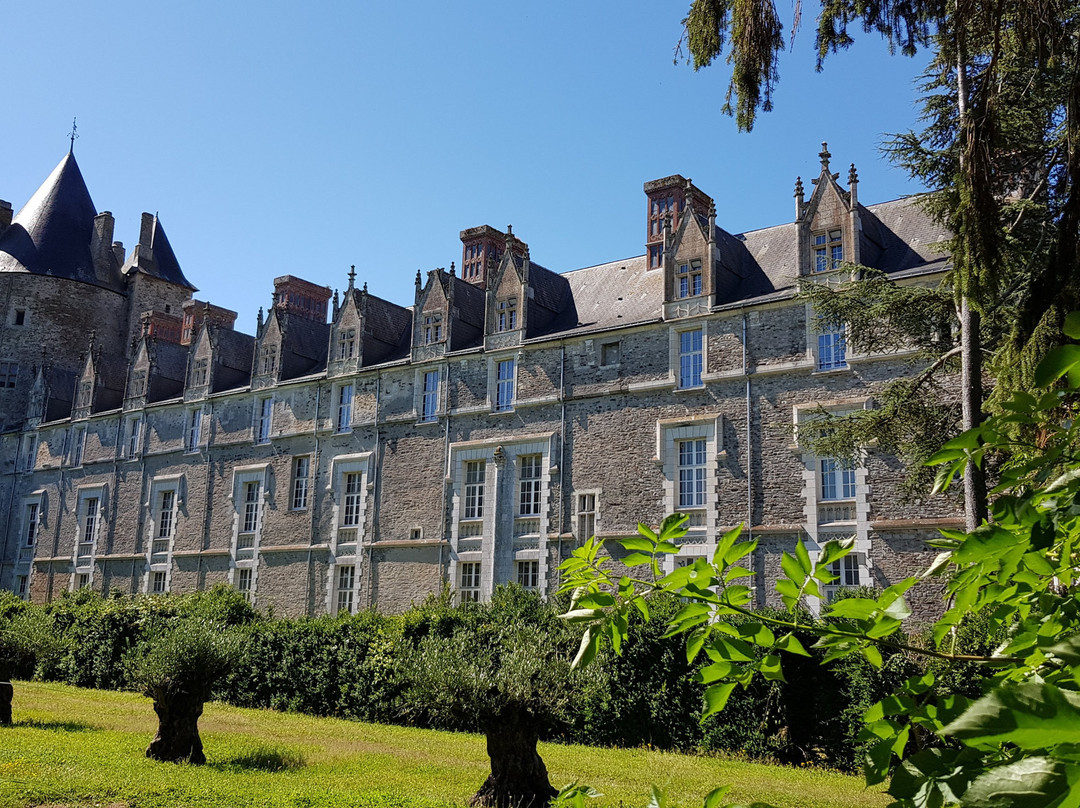 Chateau de la Groulais景点图片