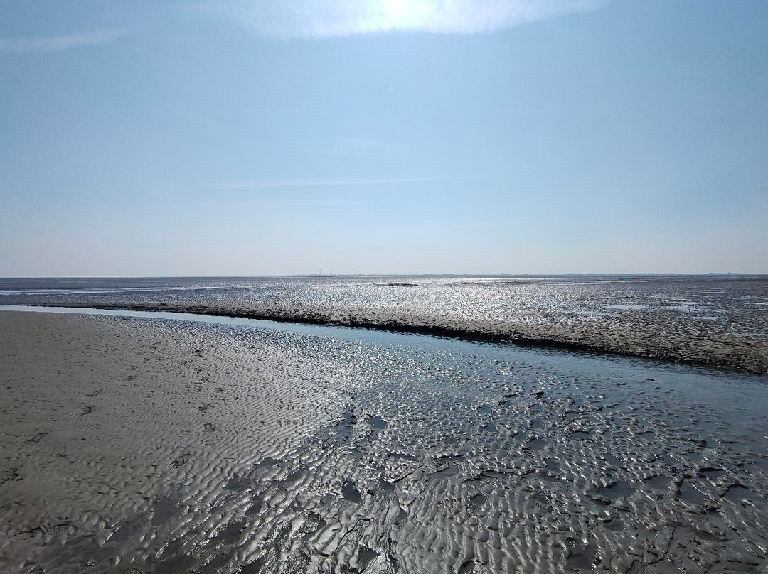 Wattwanderzentrum Ostfriesland-Harlesiel必去景点