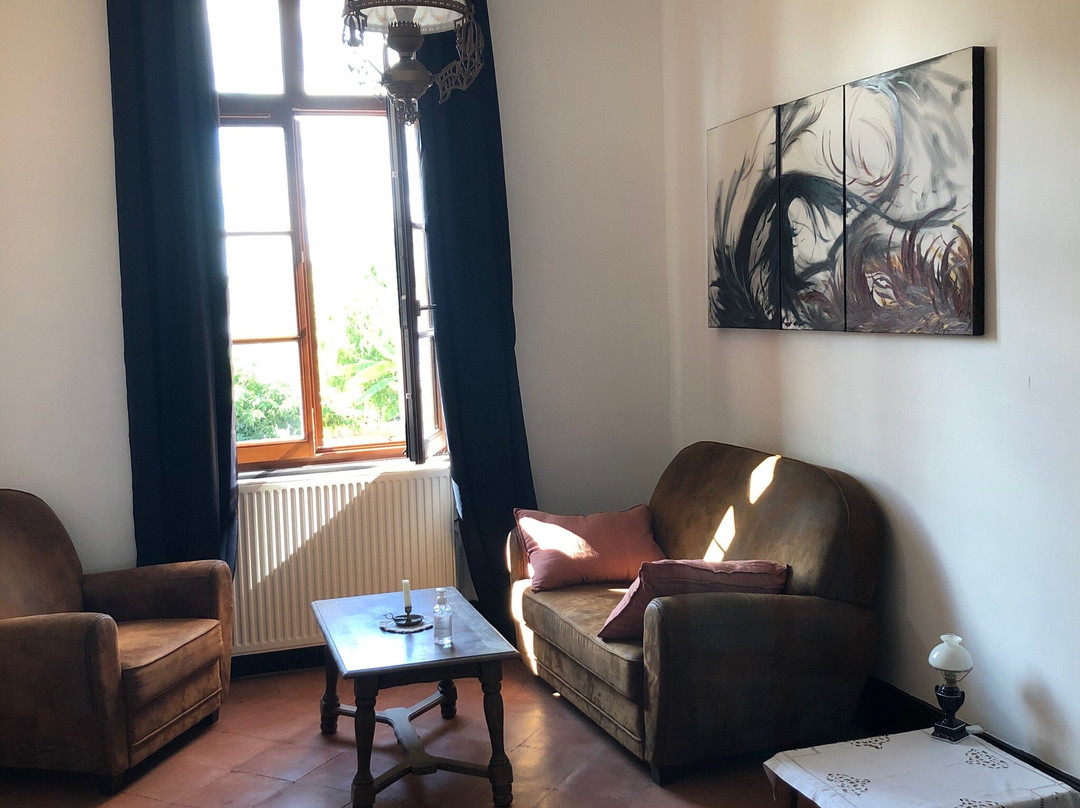 La Maison du Saula主图