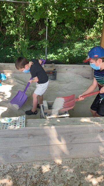 The Rock, Fossil, and Dinosaur Shop-南迪尔菲尔德必去景点