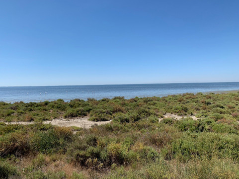 Mas Saint-Germain主图