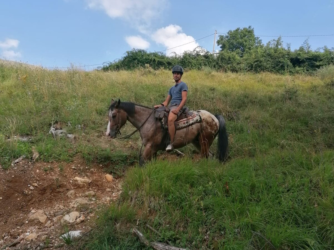 Ranch Barlot景点图片