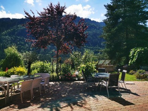 Forellenhof-Gasthof Hammerwirt-官方