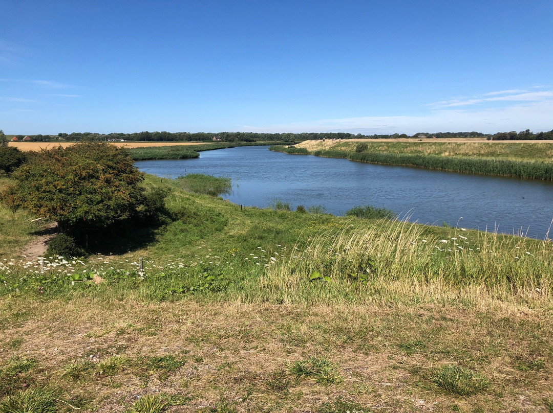 Groese duinen en polders-Groede必去景点