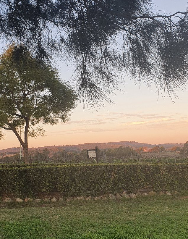 Blueberry Hill Vineyard Stay主图