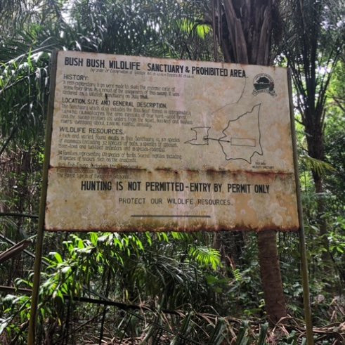 The Sprout Experience-克利夫兰必去景点