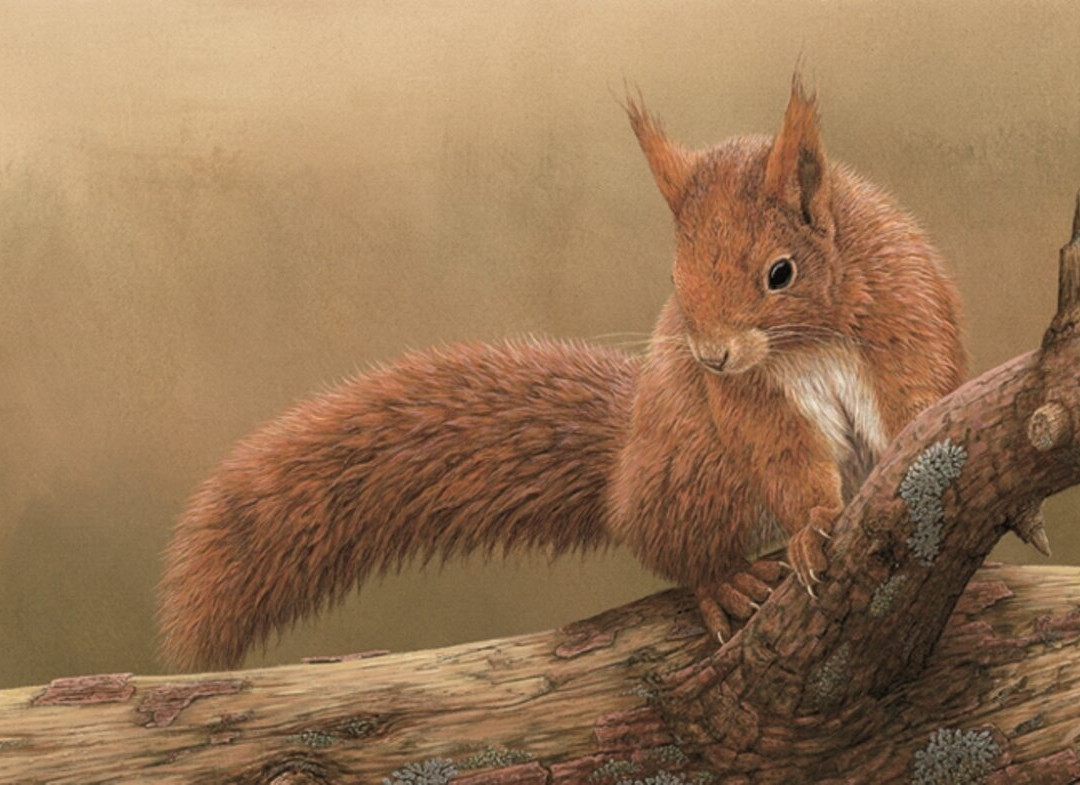 The Robert Fuller Gallery景点图片