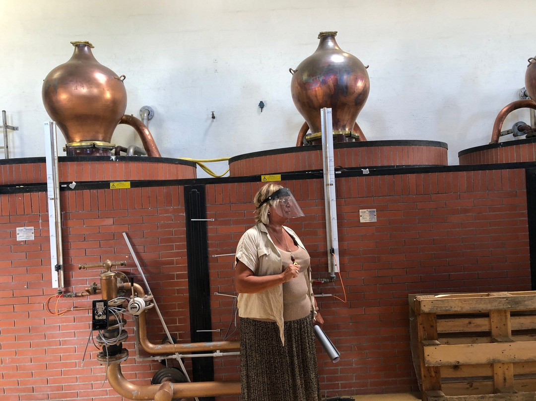 Les Vignerons d'Oleron-Saint-Pierre-d'Oleron必去景点