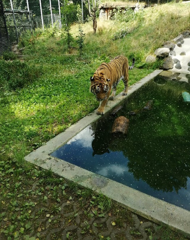 Zoo Neuwied景点图片