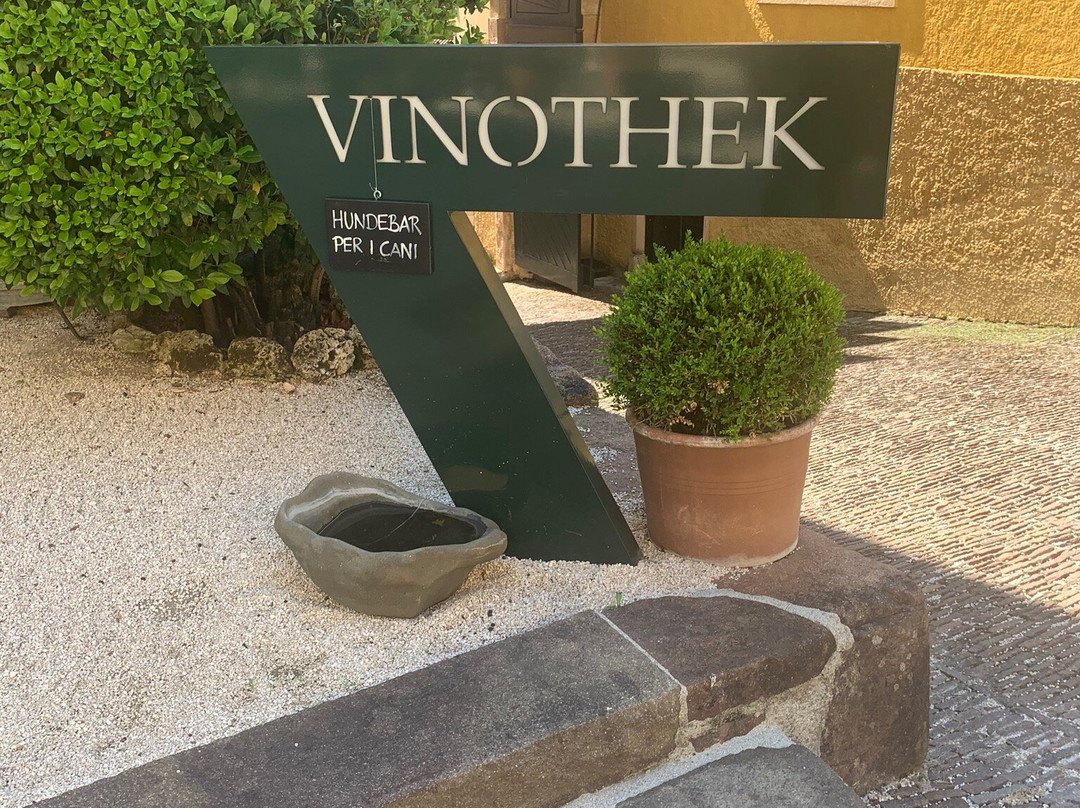 Weingut / Vinothek Castel Sallegg景点图片