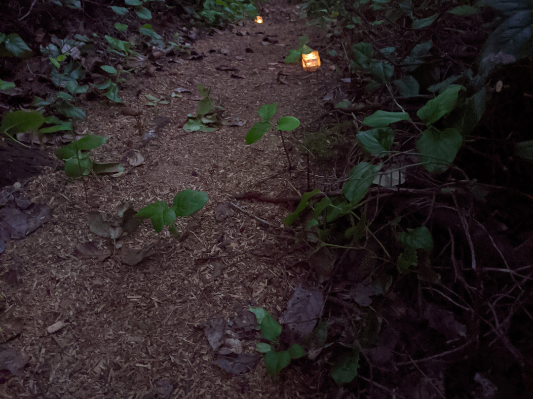 Discovery Expeditions-Telegraph Cove必去景点