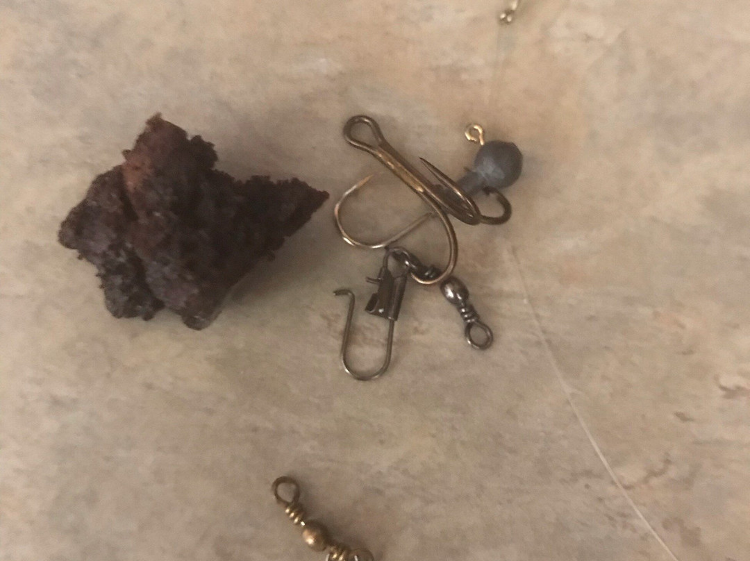 Eagle Fire Lodge & Cabins主图