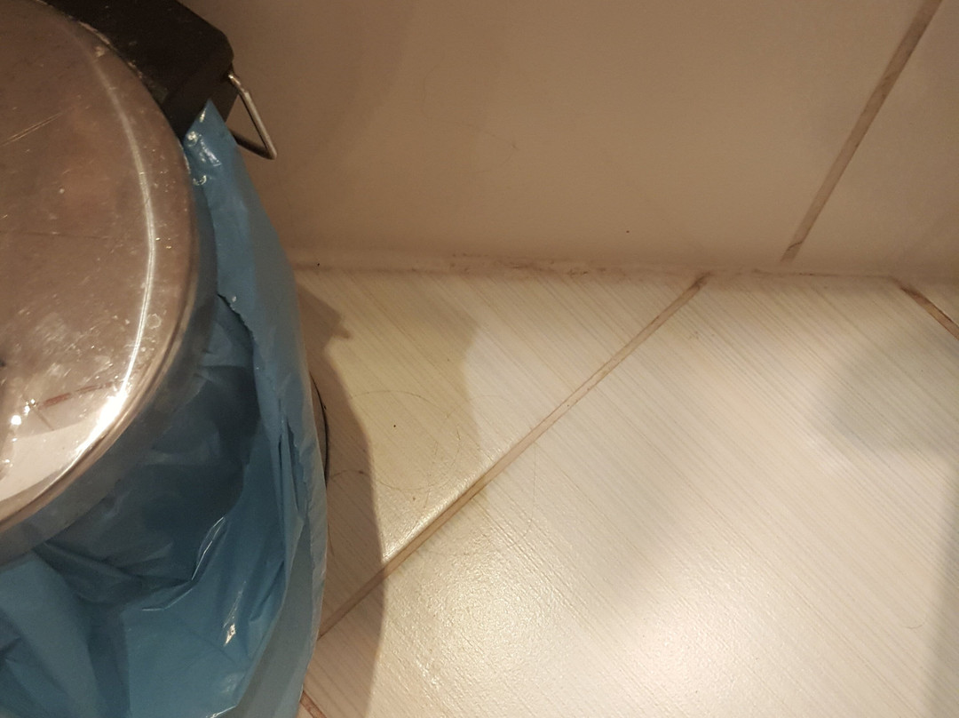 Szent Orban Erdei Hotel主图