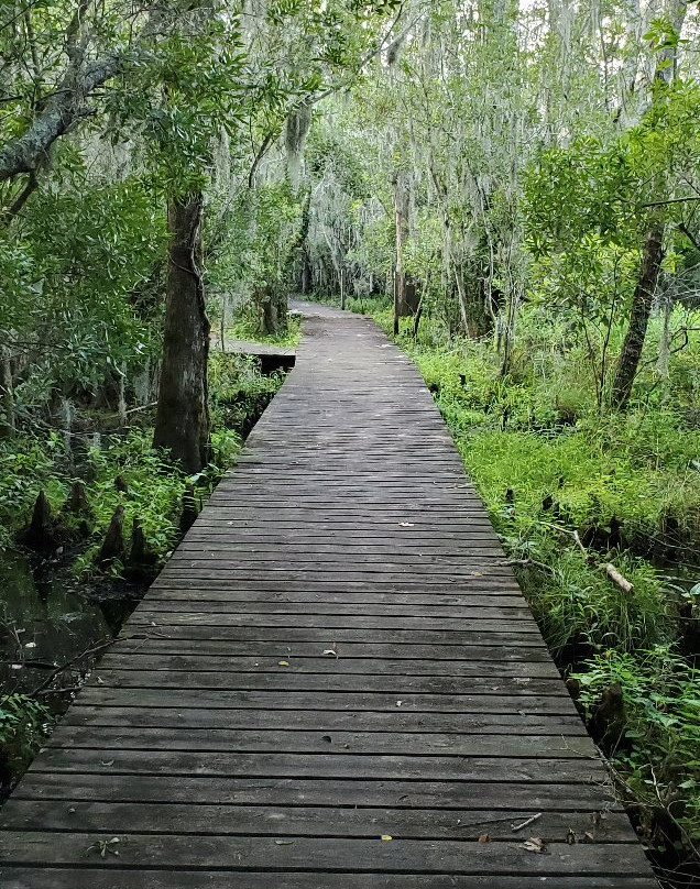 Goose Creek State Park景点图片