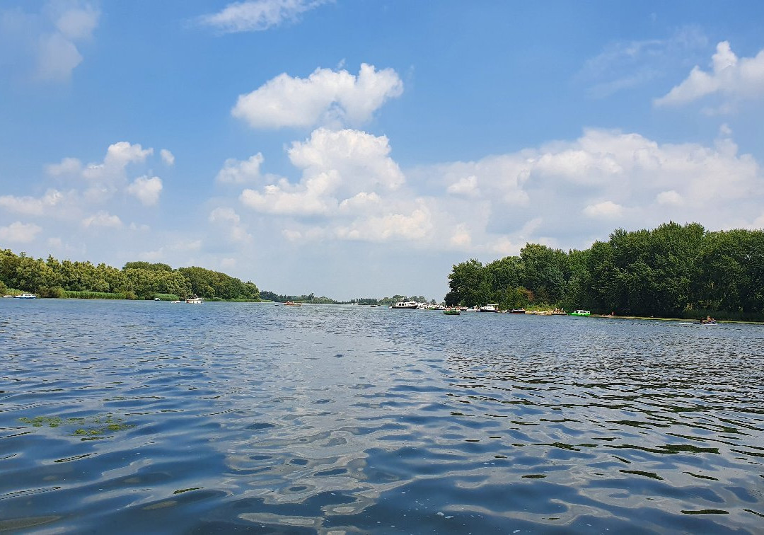 Biesbosch Museum景点图片