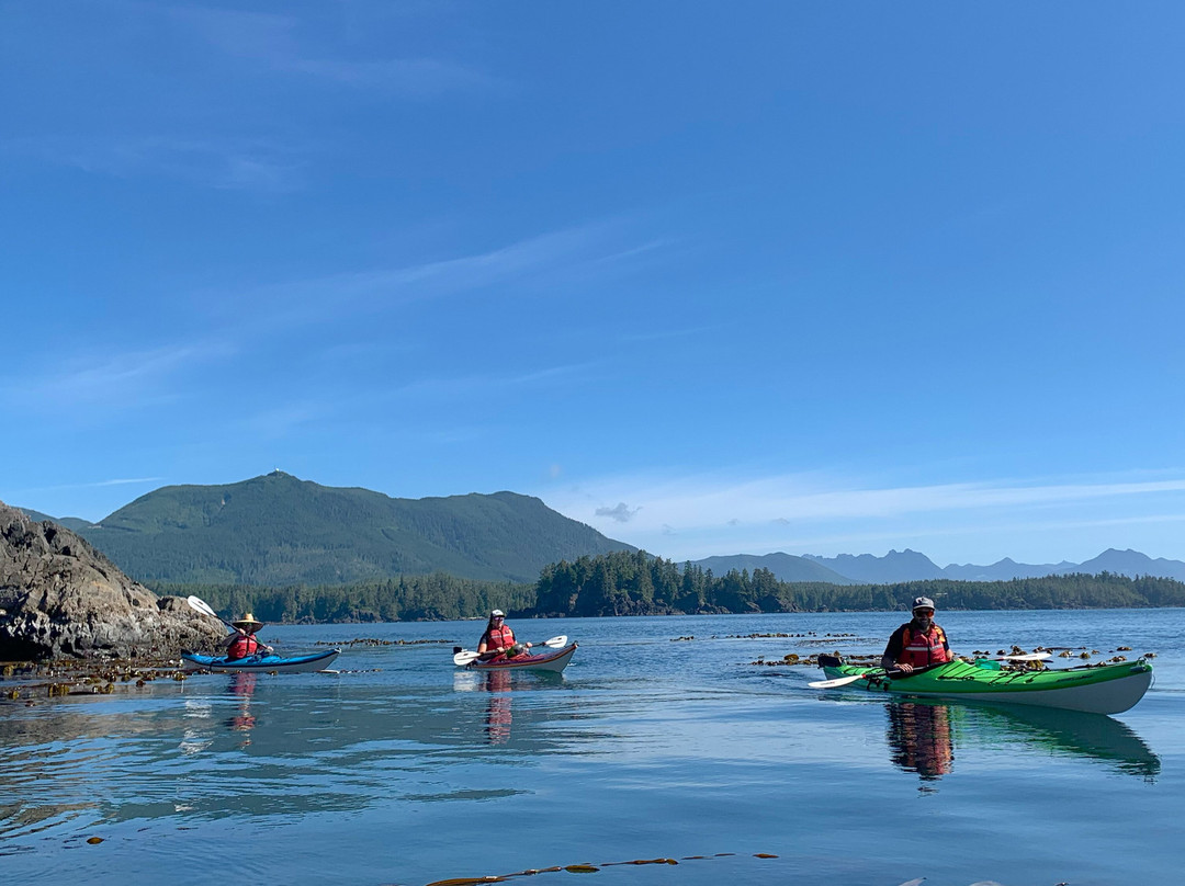 Majestic Ocean Kayaking景点图片