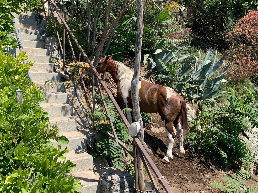 H.H.里帕尔梅酒店主图