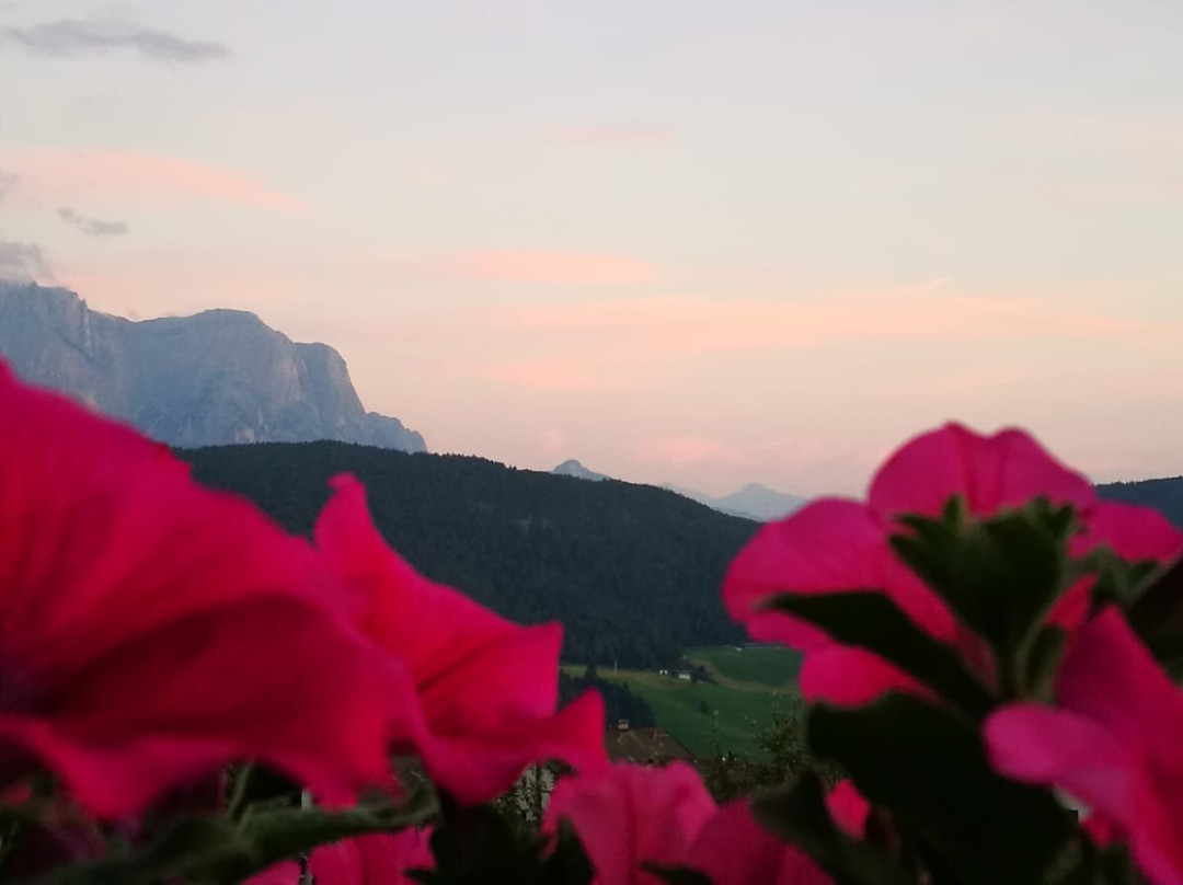 Garni Tschutscherhof主图