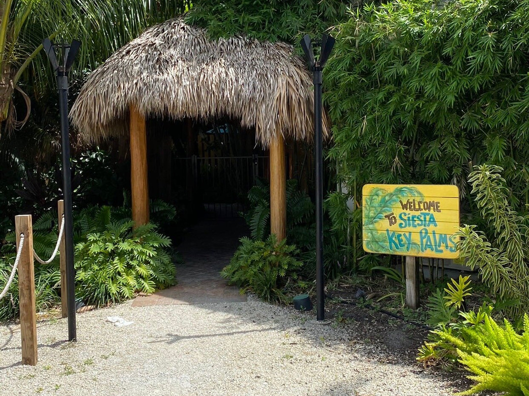 Siesta Key Palms Resort主图