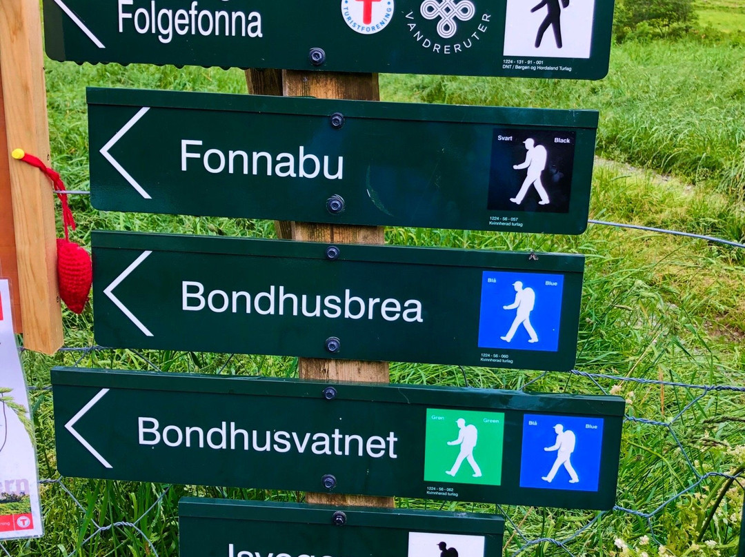 Folgefonna National Park景点图片