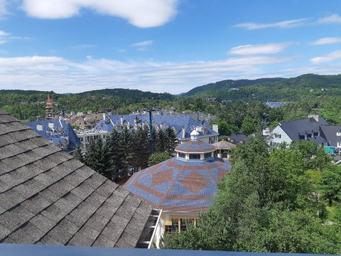 Lodge de la Montagne主图