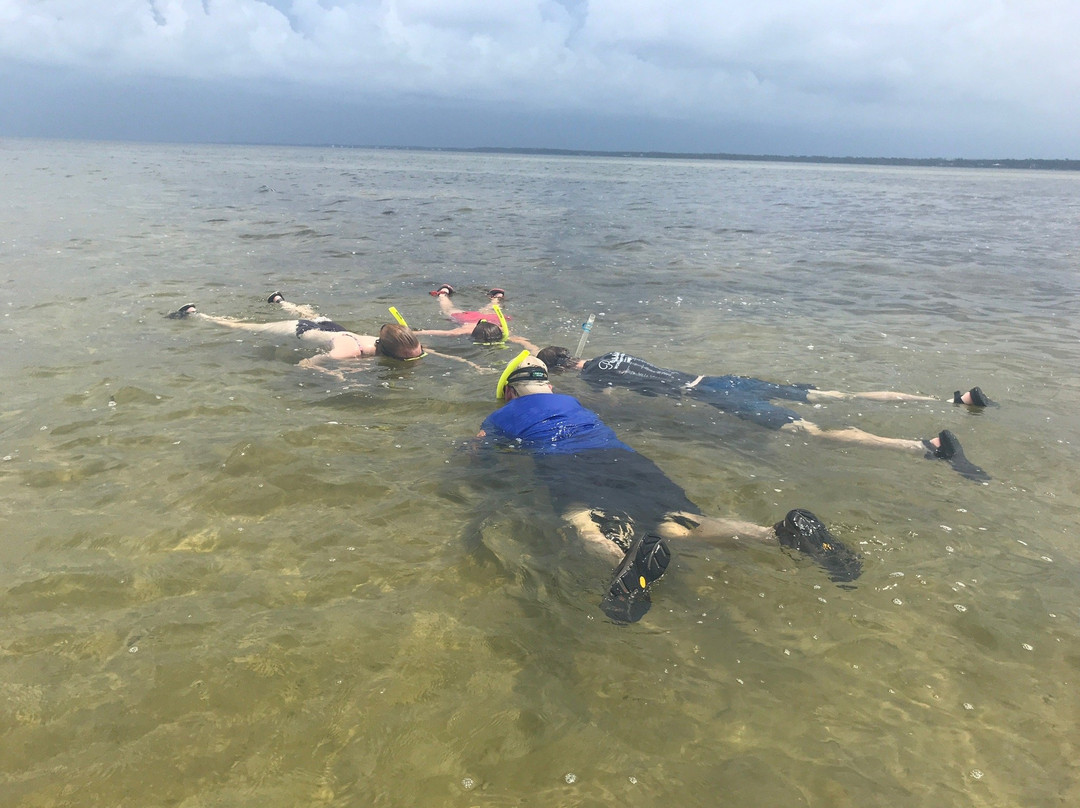 Happy Ours Kayak and Bike Outpost-Port Saint Joe必去景点
