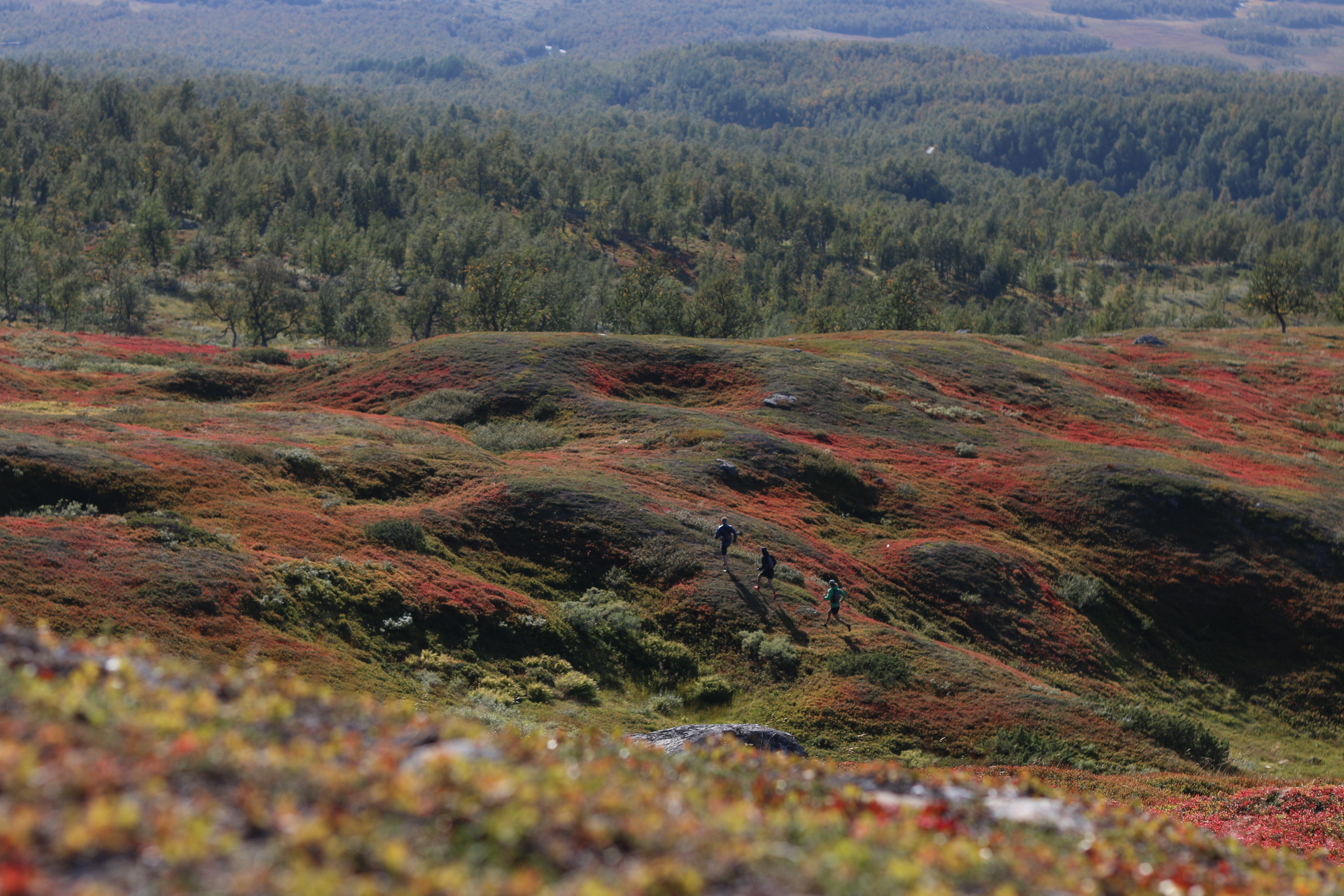 Hemavans Fjällcenter-官方