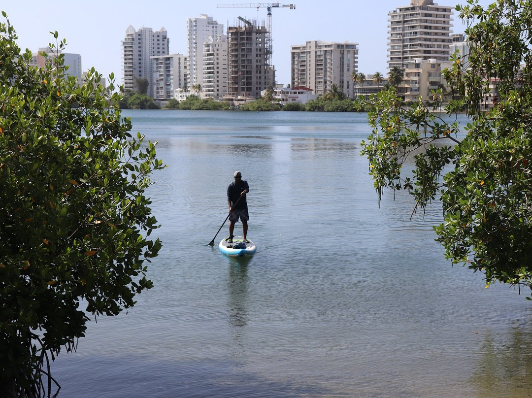 Laguna del Condado-圣胡安必去景点