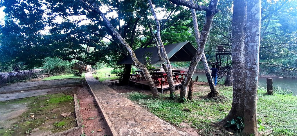 360 Rainforest主图