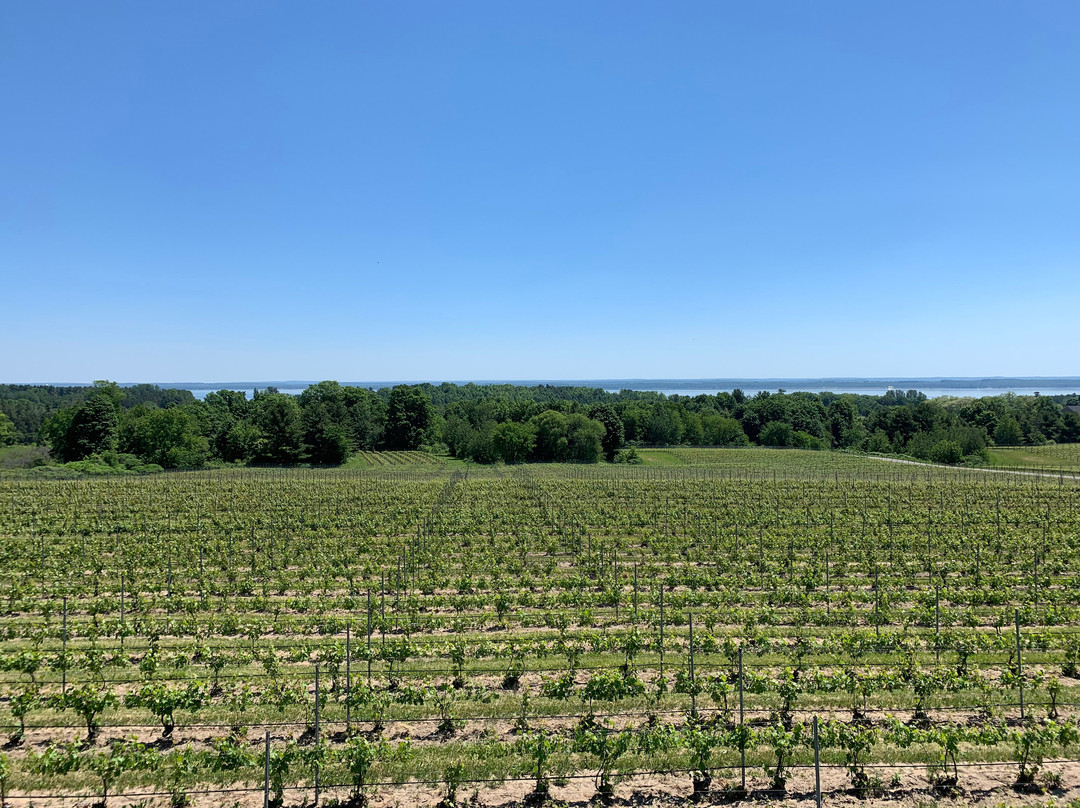 Traverse City Tours景点图片