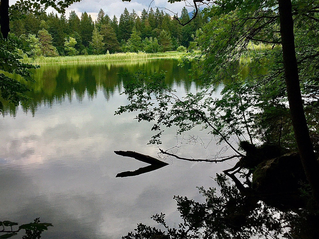 Schwansee-施万高必去景点