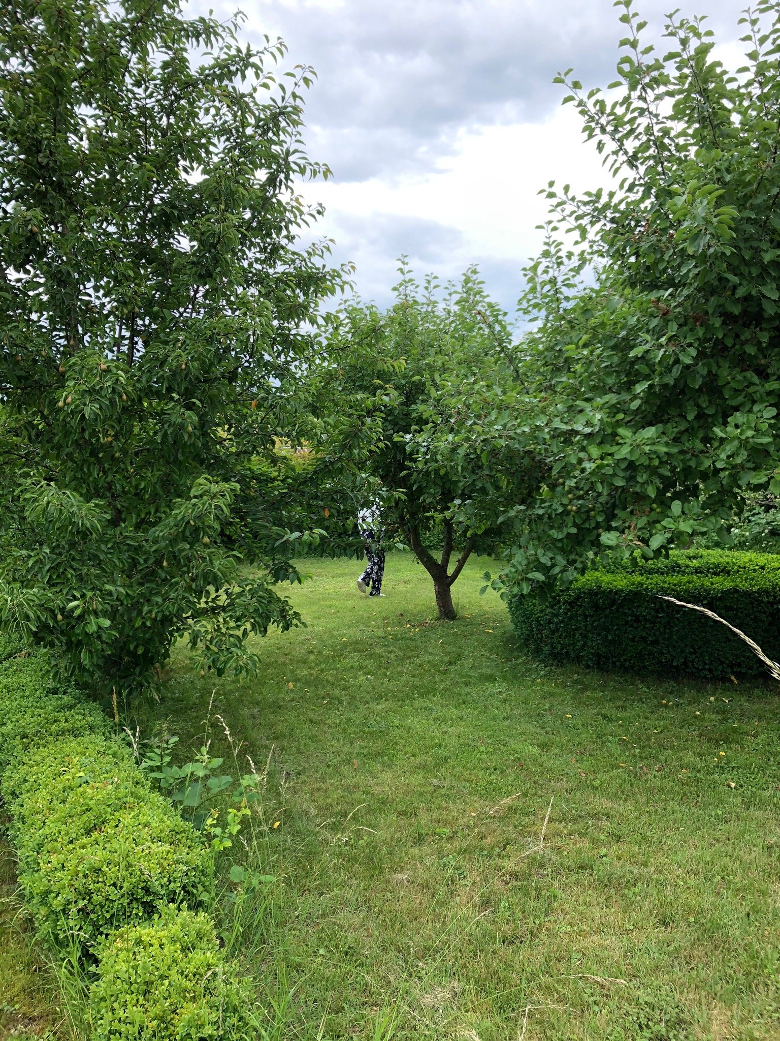 Hotel zum Alten Brauhaus-官方