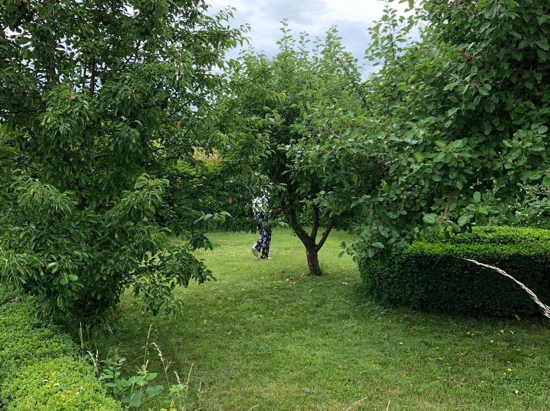 Hotel zum Alten Brauhaus主图