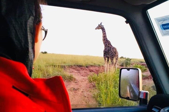 Nkembo Africa Safaris