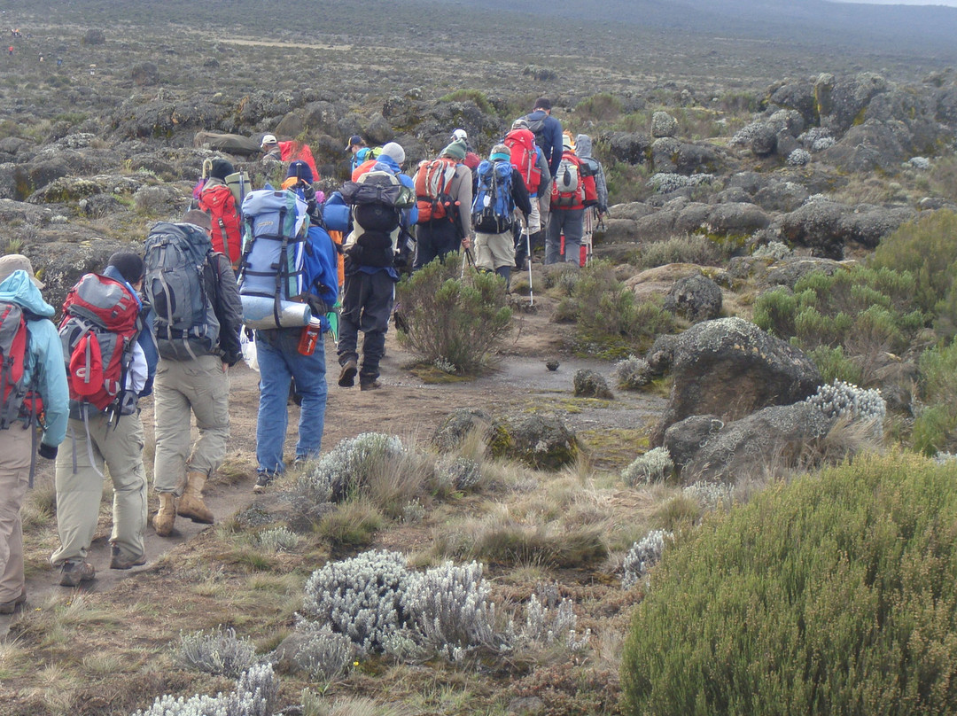 Safarika Africa Ltd-阿鲁沙必去景点