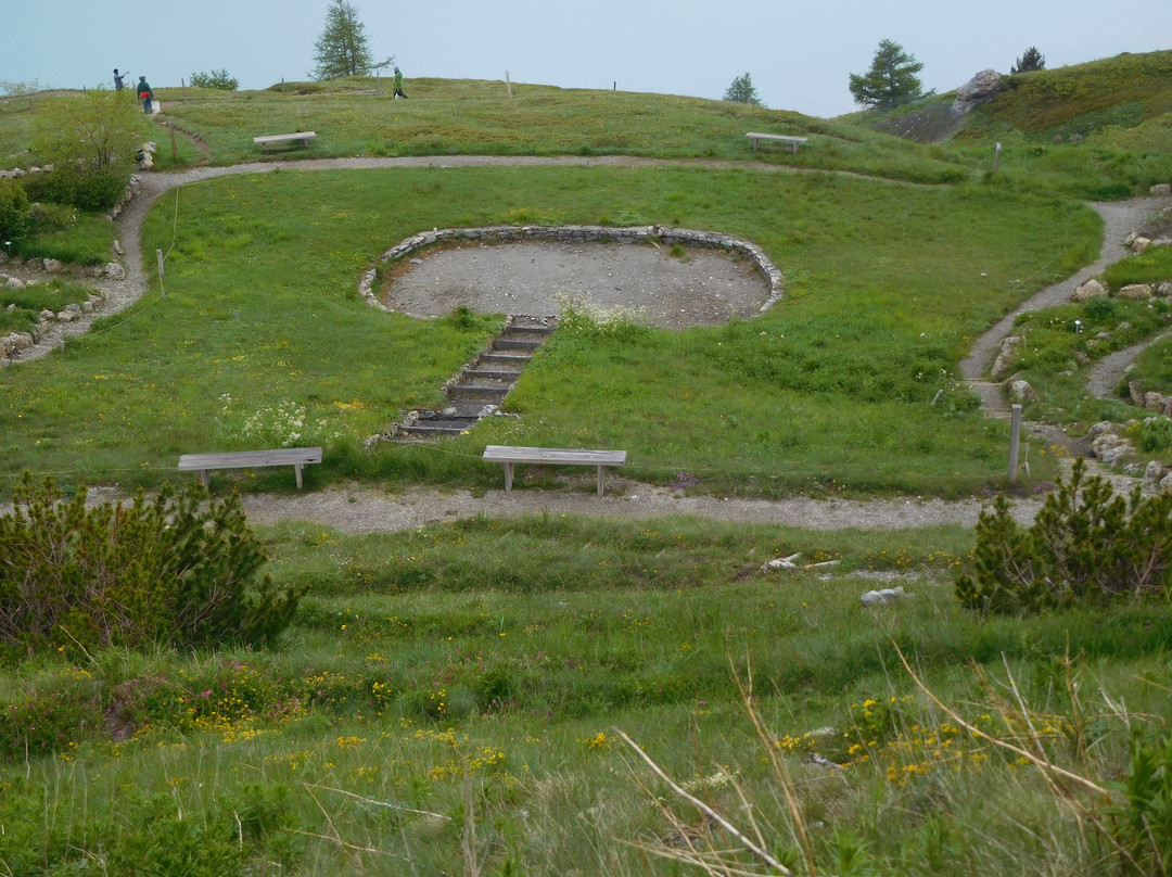 Jardin Alpin du Col du Mont Cenis景点图片