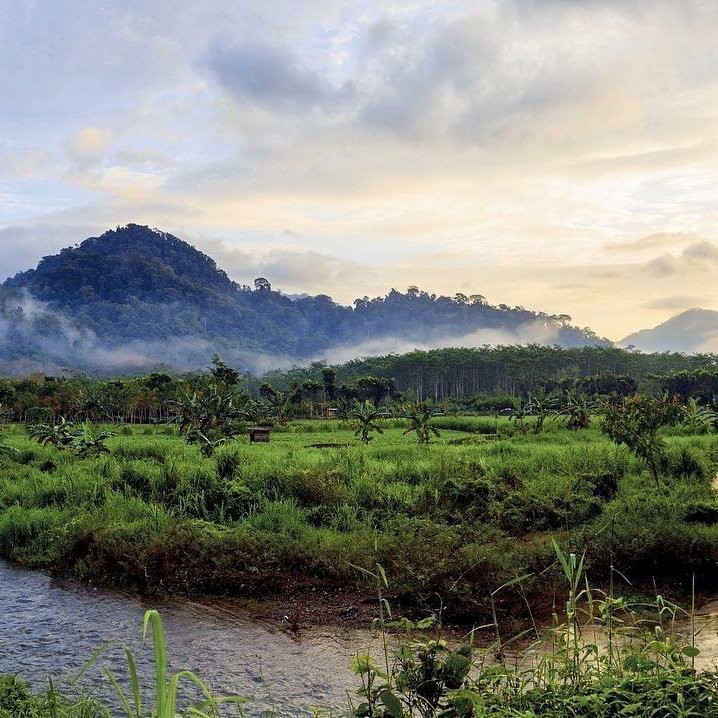 Meru Betiri National Park-巴纽旺宣必去景点