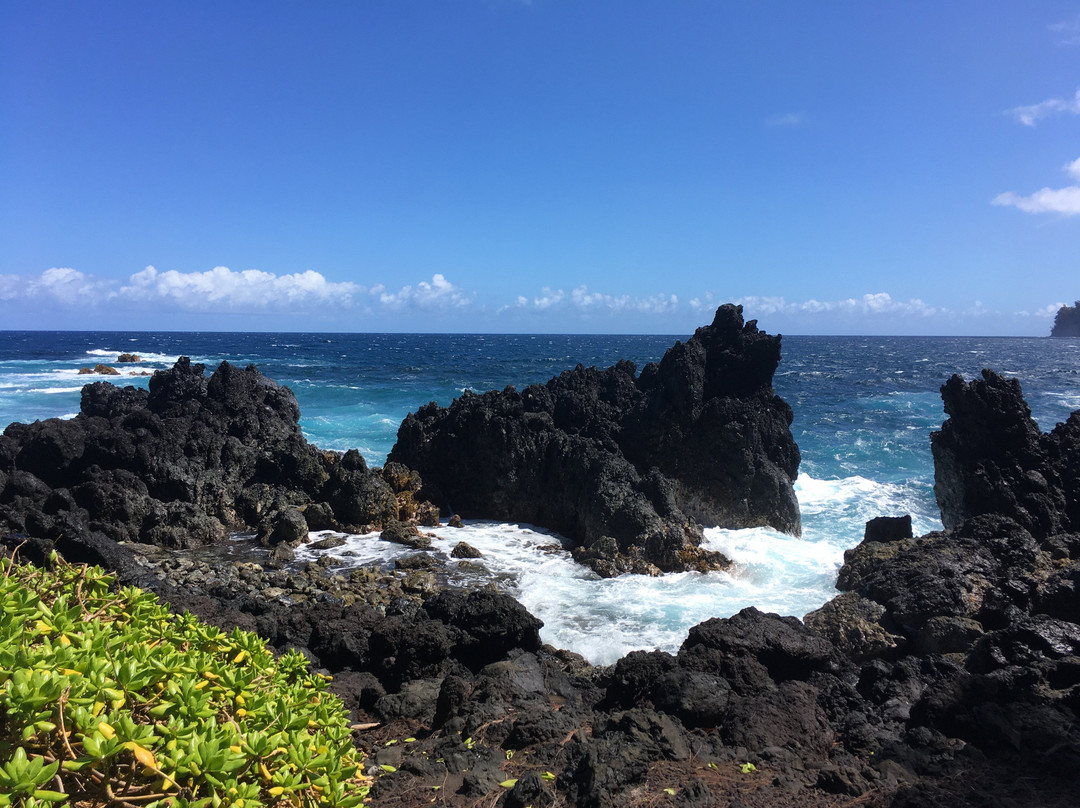 Laupahoehoe Beach Park景点图片