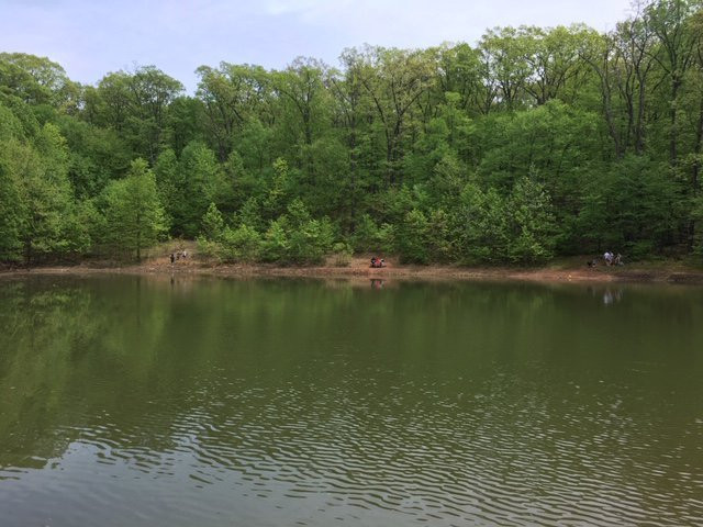 Boyd Big Tree Preserve Conservation Area-哈里斯堡必去景点