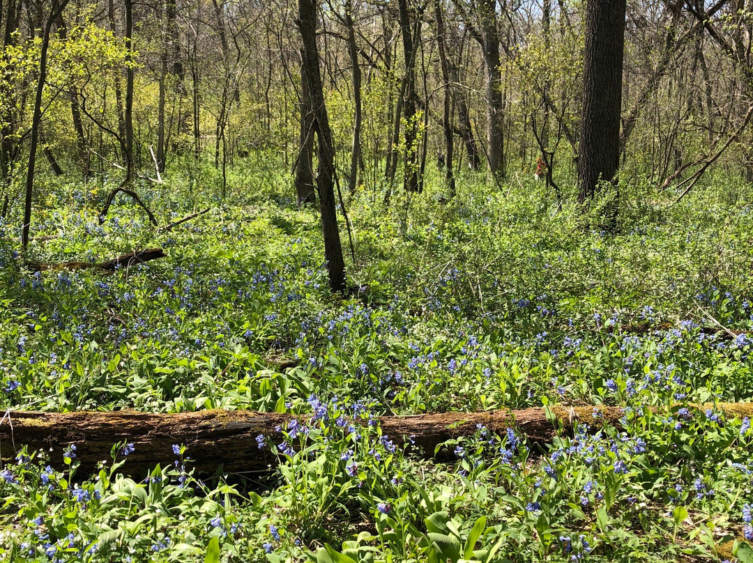 Carley State Park-Altura必去景点