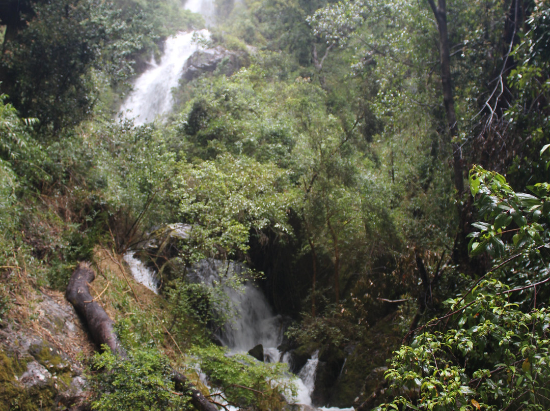 Parque Nacional Vicente Perez Rosales-巴拉斯港必去景点