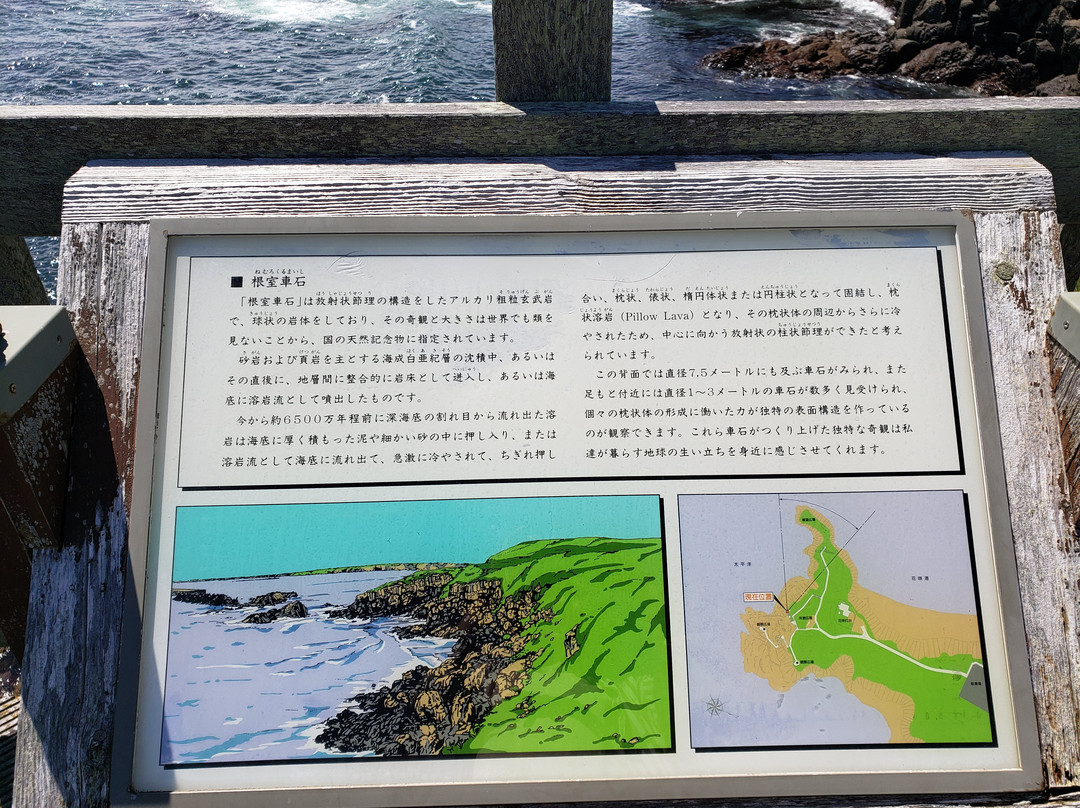 Nemuro Kurumaishi-根室市必去景点