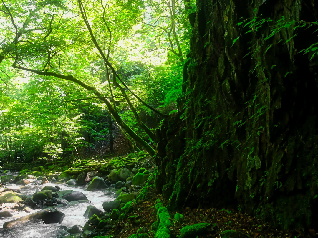 Kosuge-gawa Odaki no Shioji-rin-小菅村必去景点