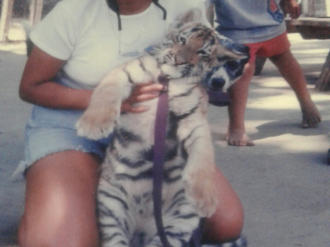 DeYoung Family Zoo-Wallace必去景点