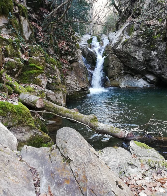 Arxontiko Agonari主图