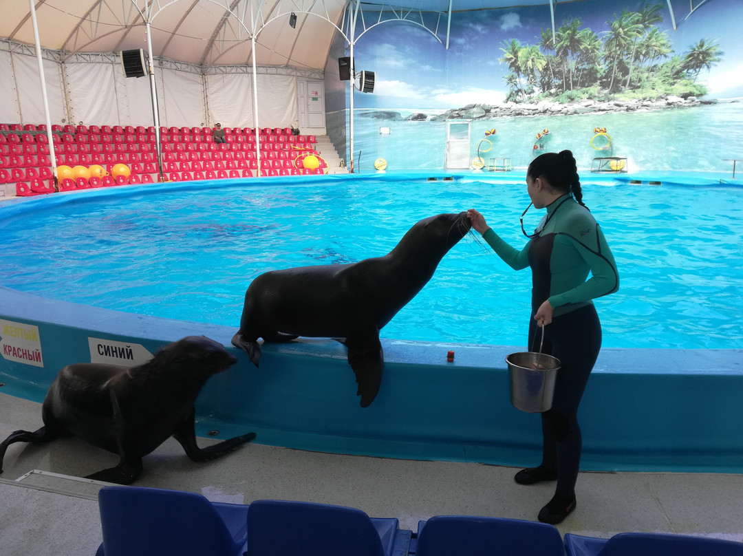 Alushta Dolphinarium Nemo-阿卢什塔必去景点