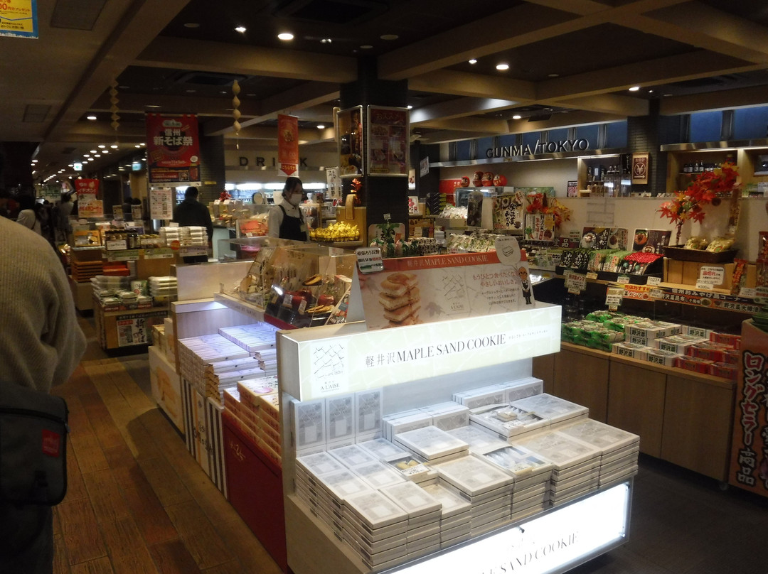 Yokokawa Service Area Outbound-安中市必去景点