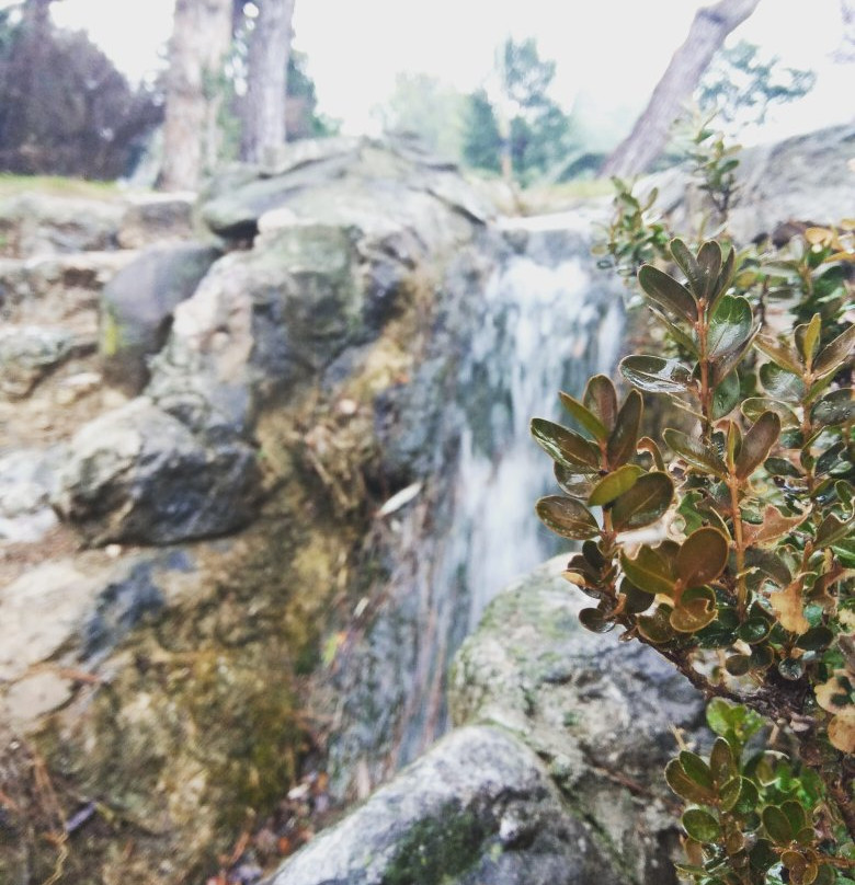 Municipal Park of Naoussa-Naousa必去景点