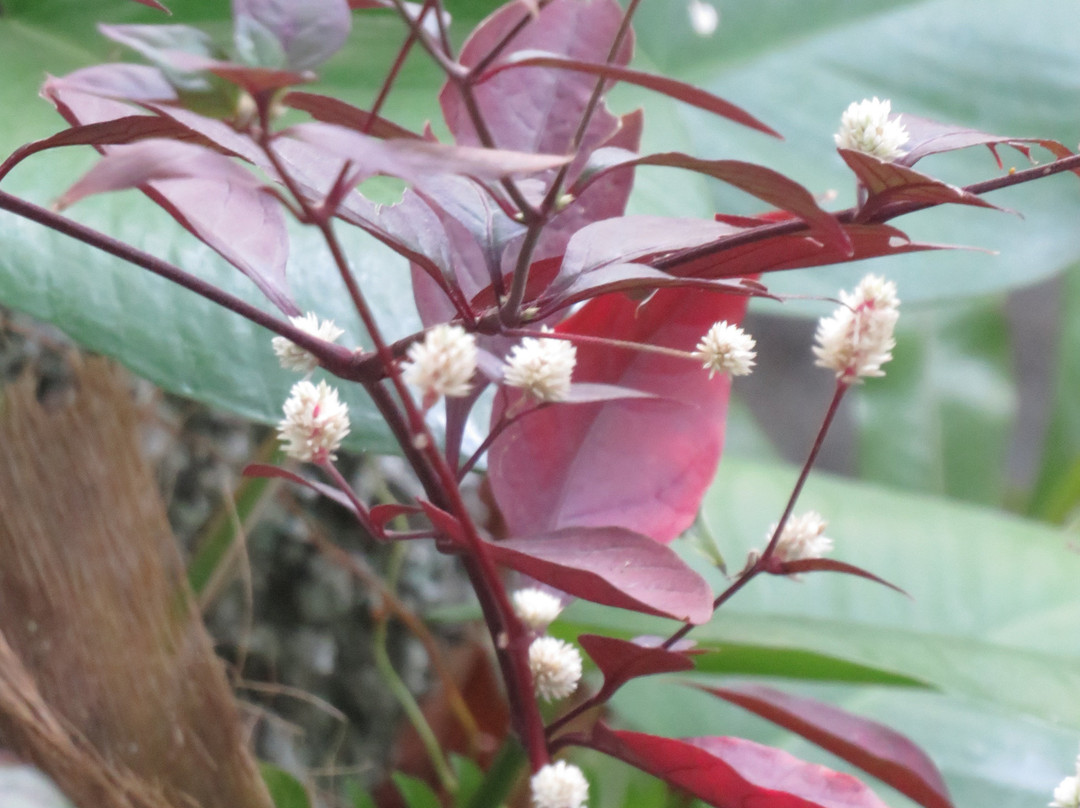 蝉之栈酒店主图