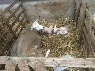 Summer Bridge旅游攻略图片